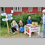 Hemgjord sylt och saft